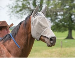 Weaver Equine Nose & Ear Cover Horse Fly Mask, Gray, Large slide 2 of 2