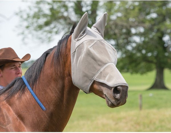 Show full view: Weaver Equine Nose & Ear Cover Horse Fly Mask, Gray, Large slide 2 of 2