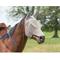 Show in main carousel: Weaver Equine Nose & Ear Cover Horse Fly Mask, Gray, Large slide 2 of 2