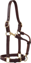 Weaver Equine Oiled Canyon Rose Track Horse Halter, Average Horse