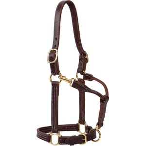Weaver Equine Oiled Canyon Rose Track Horse Halter, Average Horse