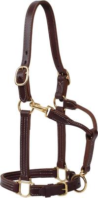 Show full view: Weaver Equine Oiled Canyon Rose Track Horse Halter, Cob/Small Horse slide 1 of 2