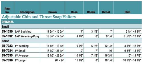 Show full view: Weaver Equine Original Adjustable Nylon Horse Halter, Blue, Small slide 3 of 4