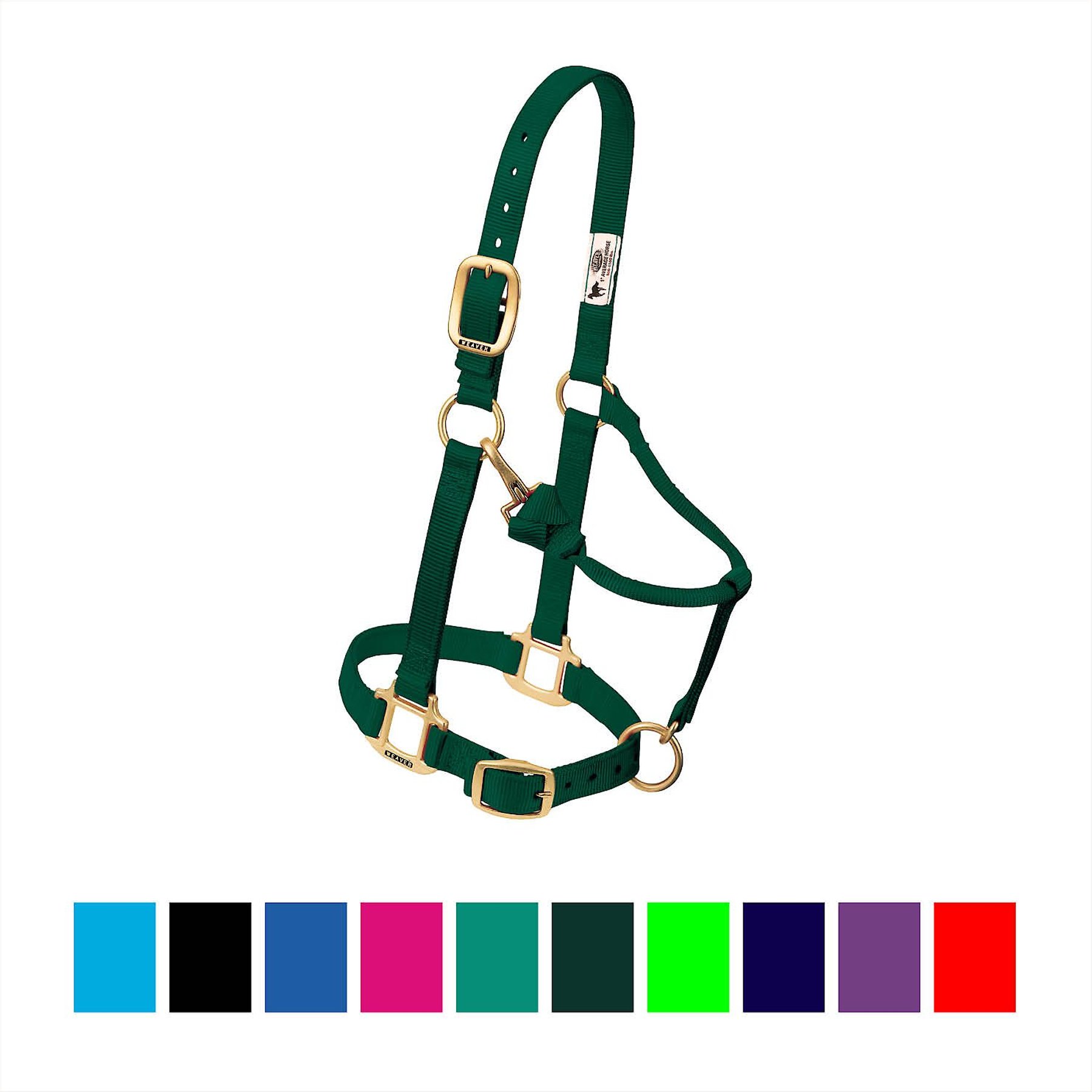 Weaver Equine Original Adjustable Nylon Horse Halter, Hunter Green, Average