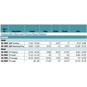 Weaver Equine Original Adjustable Nylon Horse Halter, Hunter Green, Average