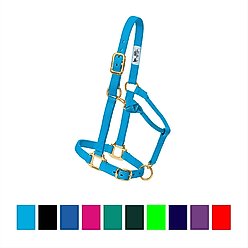 Weaver Equine Original Adjustable Nylon Horse Halter, Hurricane Blue, Average