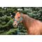 Show in main carousel: Weaver Equine Original Adjustable Nylon Horse Halter, Hurricane Blue, Average slide 2 of 4