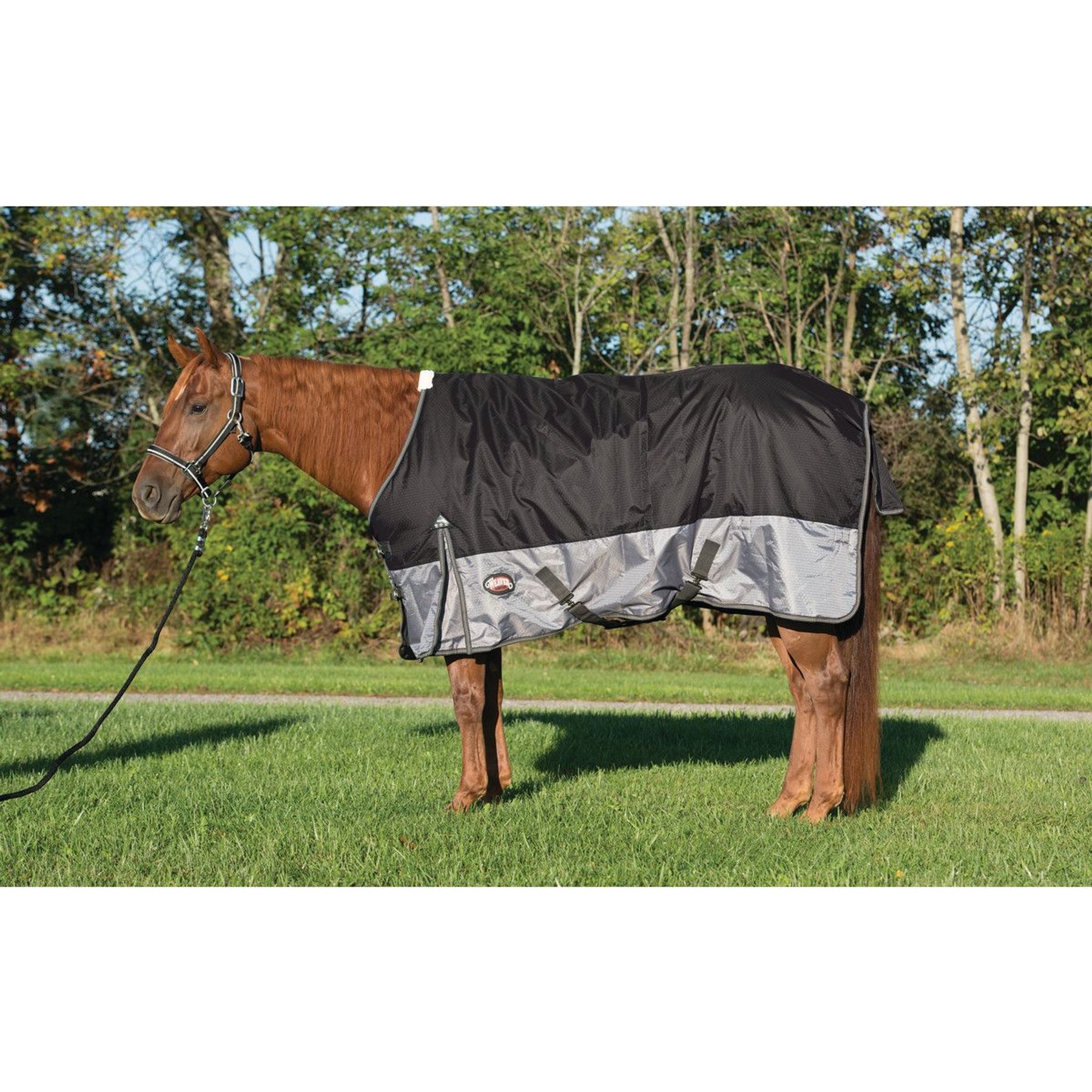 Weaver Equine Premium 600D Mesh Horse Rainsheet, Black, 69-in