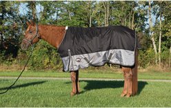 Weaver Equine Premium 600D Mesh Horse Rainsheet, Black, 72-in