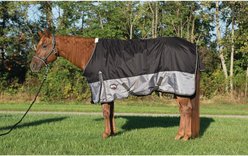 Weaver Equine Premium 600D Mesh Horse Rainsheet, Black, 78-in