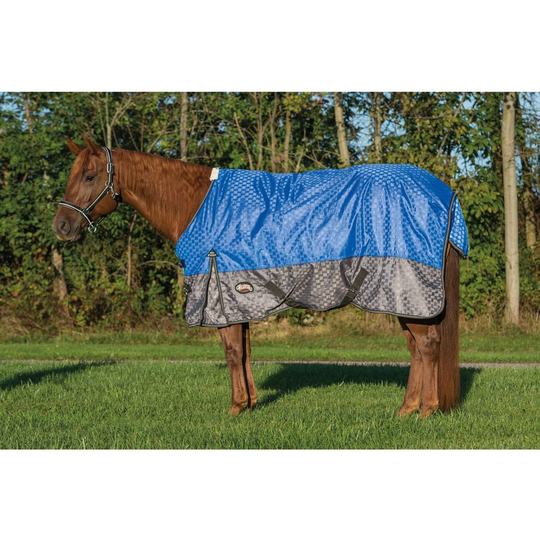 Weaver Equine Premium 600D Mesh Horse Rainsheet, Blue, 72-in
