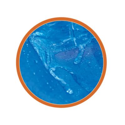 Show full view: Weaver Equine Premium 600D Mesh Horse Rainsheet, Blue, 78-in slide 4 of 4