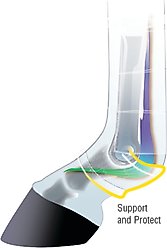 Weaver Equine Prodigy Athletic Horse Boots, Blue, Large slide 2 of 3