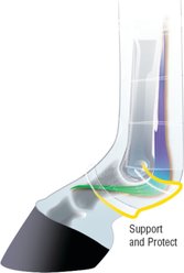 Weaver Equine Prodigy Athletic Horse Boots, Medium, Black slide 2 of 3