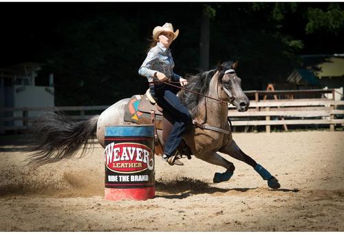 Show full view: Weaver Equine Prodigy Athletic Horse Boots, Medium, Turquoise slide 2 of 4