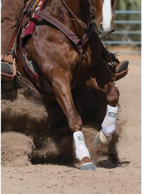 Show full view: Weaver Equine Prodigy Athletic Horse Boots, Medium, White slide 7 of 8