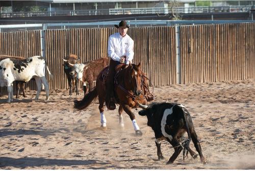 Show full view: Weaver Equine Prodigy Athletic Horse Boots, Medium, White slide 8 of 8