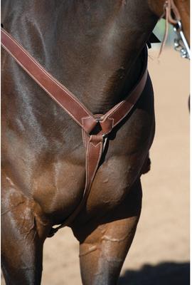 Show full view: Weaver Equine Protack Contoured Horse Breast Collar  slide 2 of 2