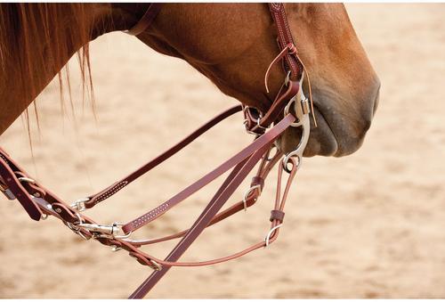 Show full view: Weaver Equine Roper Barrel-Style German Horse Martingale slide 2 of 2