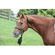 Show in main carousel: Weaver Equine Silvertip 95 Rope Horse Halter slide 2 of 2