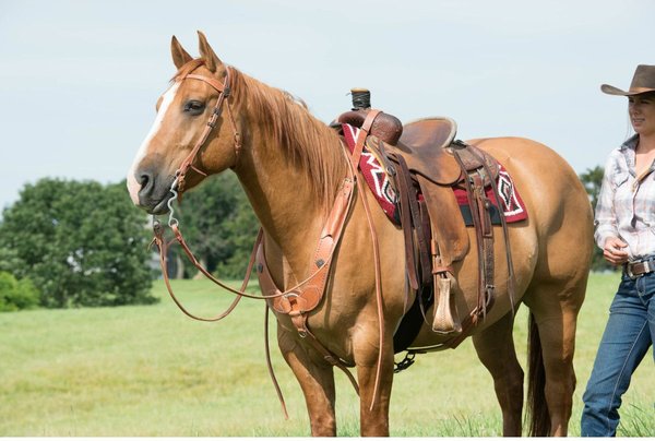 Show full view: Weaver Equine Single-Ply Heavy Harness Split Horse Reins, 8-ft x 5/8-in slide 2 of 3