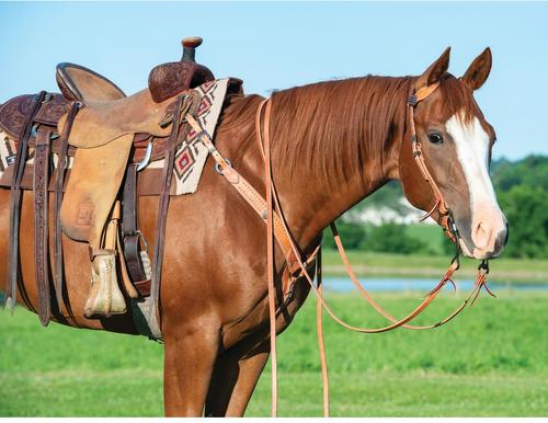 Show full view: Weaver Equine Single-Ply Heavy Harness Split Horse Reins, 8-ft x 5/8-in slide 3 of 3