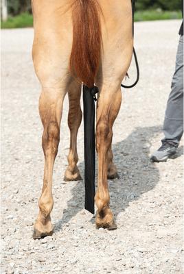 Show full view: Weaver Equine Spandex Horse Tail Bag, Black slide 4 of 6