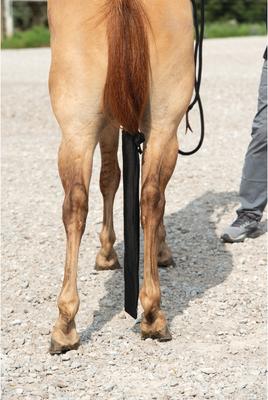 Show full view: Weaver Equine Spandex Horse Tail Bag, Black slide 3 of 6