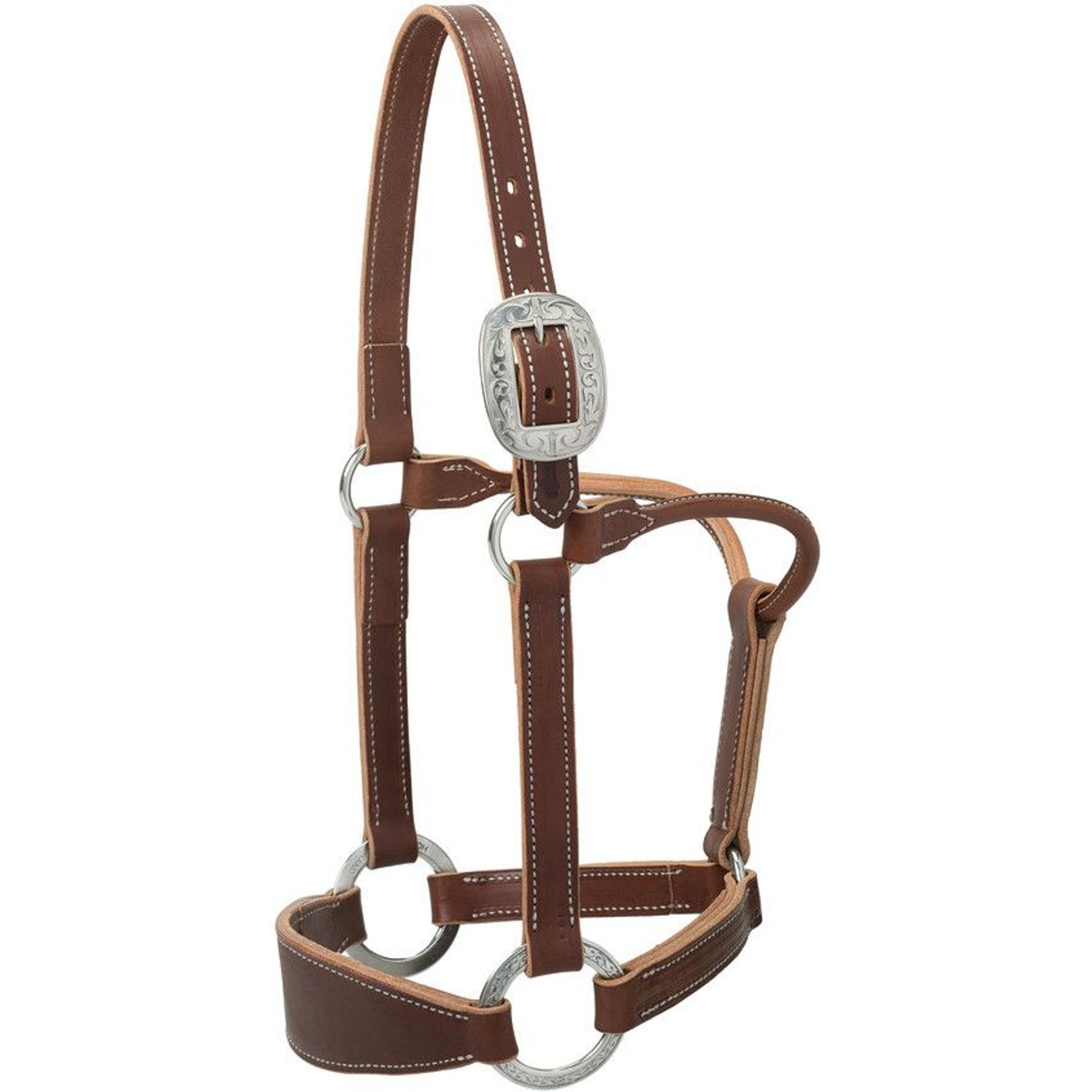 Weaver Equine Stacy Westfall Bronc Horse Halter