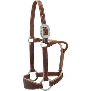 Weaver Equine Stacy Westfall Bronc Horse Halter