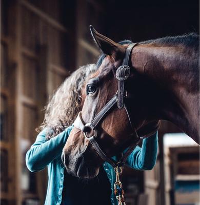Show full view: Weaver Equine Stacy Westfall Bronc Horse Halter slide 4 of 5