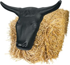 Weaver Equine Steer Head Horse Roping Dummy