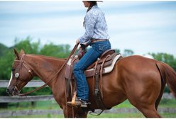 Weaver Equine Synergy EVA Sport Foam Insert Western Saddle Pad slide 2 of 4