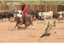 Weaver Equine Synergy Flex Contour Performance Western Saddle Pad, Mojave - Black/Red Clay slide 2 of 6