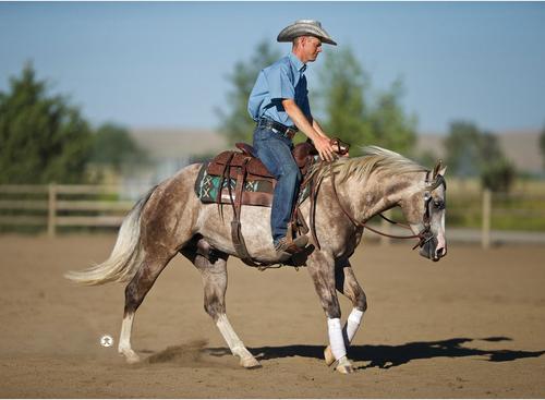 Show full view: Weaver Equine Synergy Flex Contour Performance Western Saddle Pad, Mojave - Charcoal/Turquoise slide 2 of 4