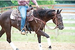Weaver Equine Synergy Natural Fit Western Saddle Pad slide 2 of 5