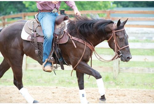 Show full view: Weaver Equine Synergy Natural Fit Western Saddle Pad slide 2 of 5