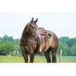 Show in main carousel: Weaver Equine Texas Star Tapered Horse Breast Collar slide 2 of 2