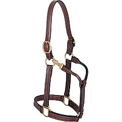 Weaver Equine Thoroughbred Horse Halter & Snap, Average