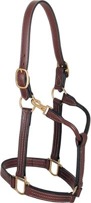 Show full view: Weaver Equine Thoroughbred Horse Halter & Snap, Large slide 1 of 1