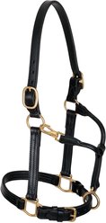 Weaver Equine Track Horse Halter, 1-in