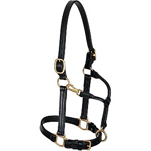 Weaver Equine Track Horse Halter, 1-in