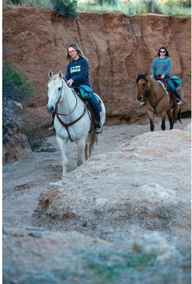 Show full view: Weaver Equine Trail Gear Horse Pommel Bags, Teal slide 5 of 7