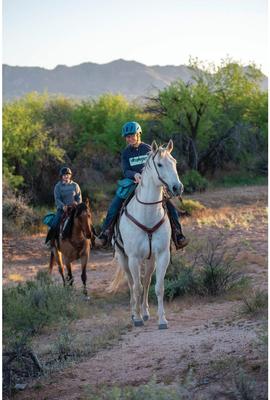 Show full view: Weaver Equine Trail Gear Horse Pommel Bags, Teal slide 6 of 7