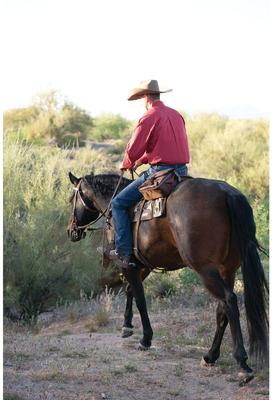 Show full view: Weaver Equine Trail Gear Horse Saddle Bags, Brown slide 3 of 6
