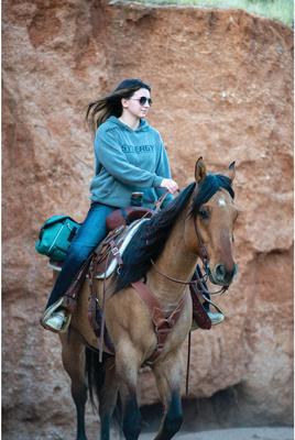 Show full view: Weaver Equine Trail Gear Horse Saddle Bags, Teal slide 5 of 7