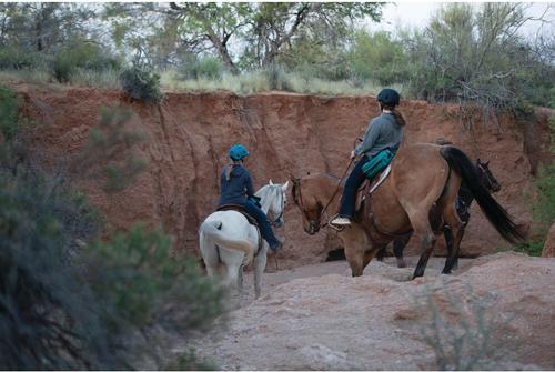 Show full view: Weaver Equine Trail Gear Horse Saddle Bags, Teal slide 6 of 7