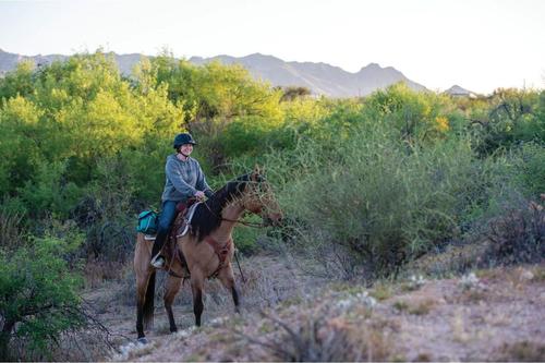 Show full view: Weaver Equine Trail Gear Horse Saddle Bags, Teal slide 7 of 7