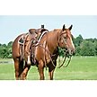 Show in main carousel: Weaver Equine Working Tack Contoured Horse Breast Collar slide 3 of 6