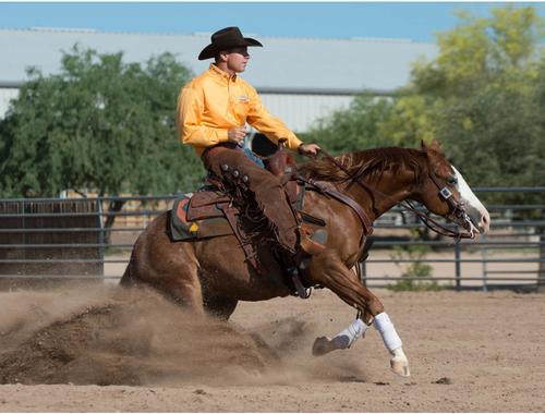 Show full view: Weaver Equine Working Tack Contoured Horse Breast Collar slide 6 of 6